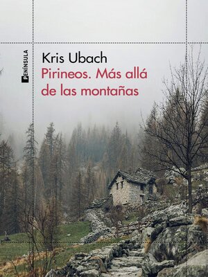 cover image of Pirineos. Más allá de las montañas